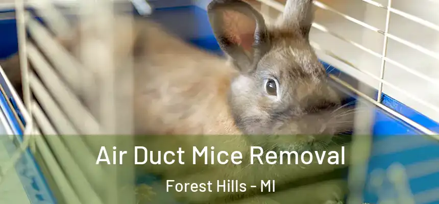  Air Duct Mice Removal Forest Hills - MI