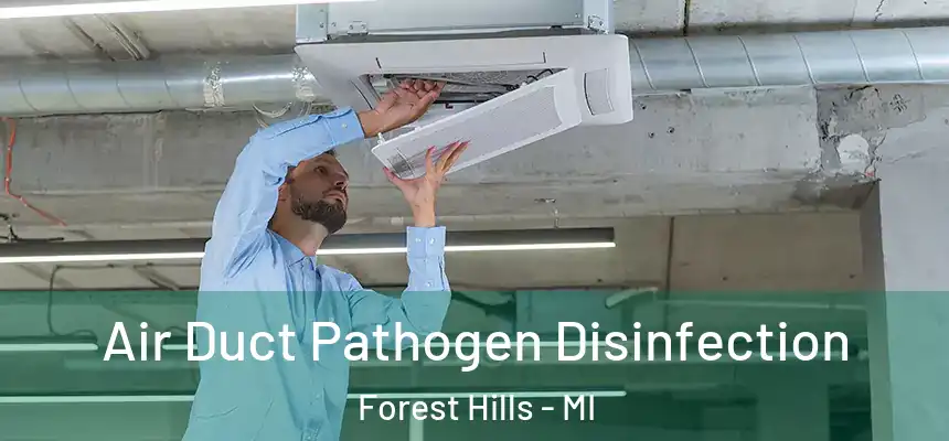  Air Duct Pathogen Disinfection Forest Hills - MI