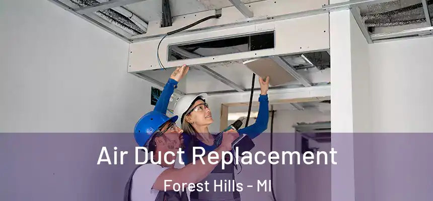  Air Duct Replacement Forest Hills - MI
