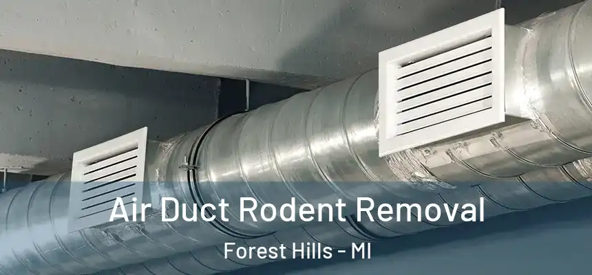  Air Duct Rodent Removal Forest Hills - MI