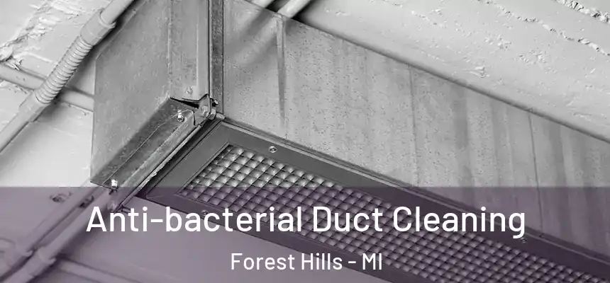  Anti-bacterial Duct Cleaning Forest Hills - MI