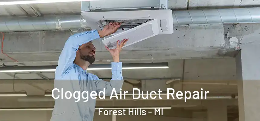  Clogged Air Duct Repair Forest Hills - MI