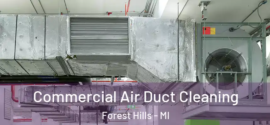 Commercial Air Duct Cleaning Forest Hills - MI