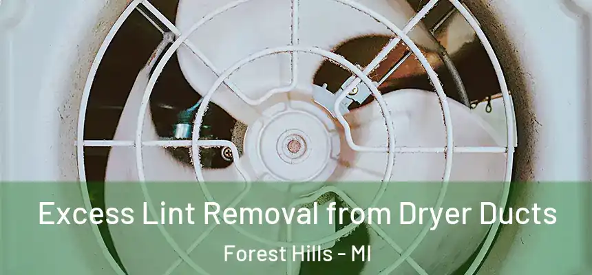  Excess Lint Removal from Dryer Ducts Forest Hills - MI