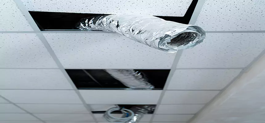 Affordable HVAC Sanitizing After Pest Removal in Forest Hills