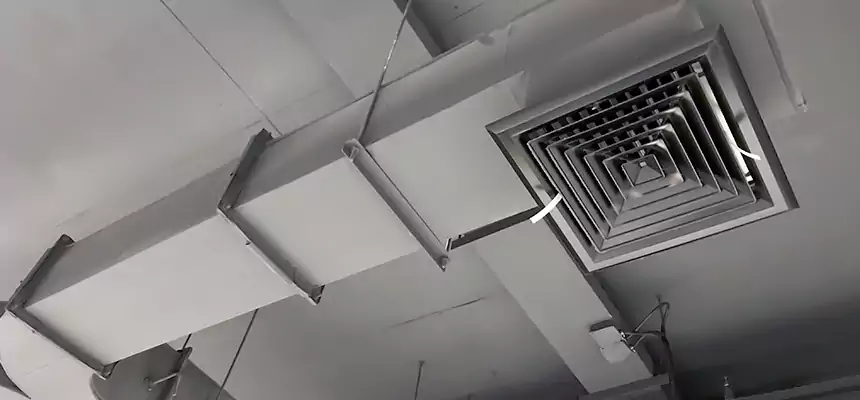 Restorative Allergy Relief Vent Cleaning – Coil, Blower & Housing Detail in Forest Hills