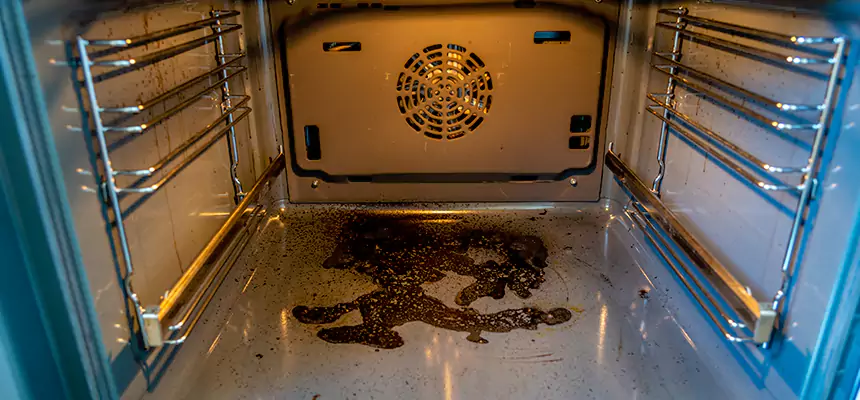 Our Dryer Vent Mold Cleaning Services in Forest Hills, MI