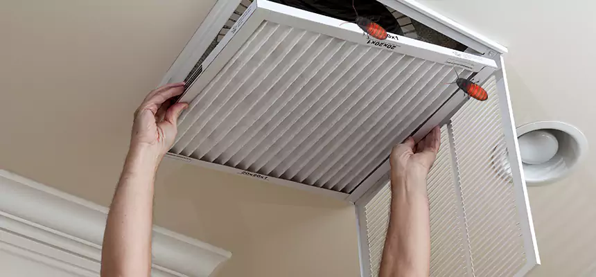 Our Insect Removal from Air Ducts Services in Forest Hills, MI