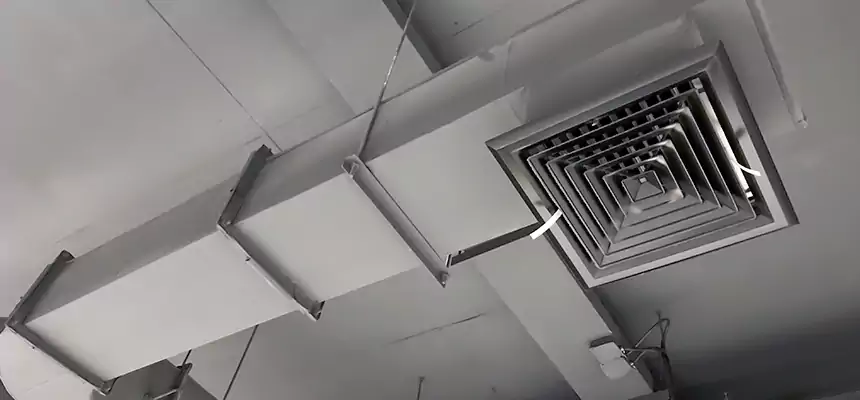 Our Pest Removal From Ducts Services in Forest Hills, MI