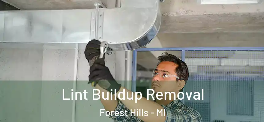  Lint Buildup Removal Forest Hills - MI