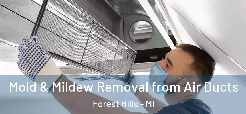 Mold & Mildew Removal from Air Ducts Forest Hills - MI