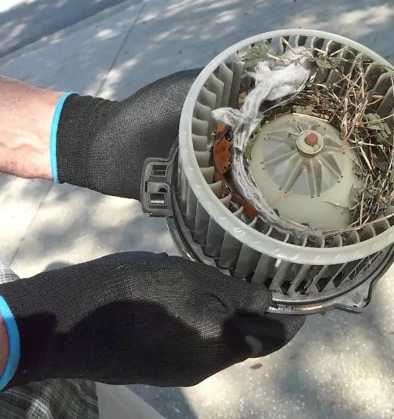 About Air Duct Rat Removal in Forest Hills, MI