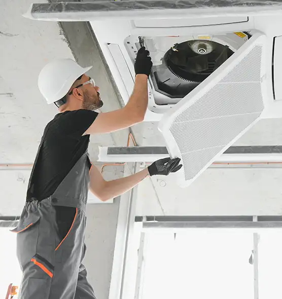 About Air Duct Rodent Removal in Forest Hills, MI