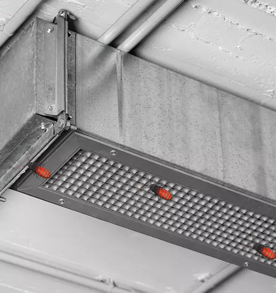Affordable Insect Removal from Air Ducts in Forest Hills, MI