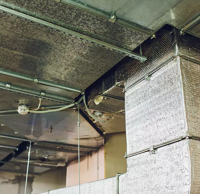 Why Homeowners & Businesses Trust Us in Forest Hills, MI?